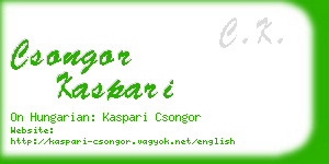 csongor kaspari business card